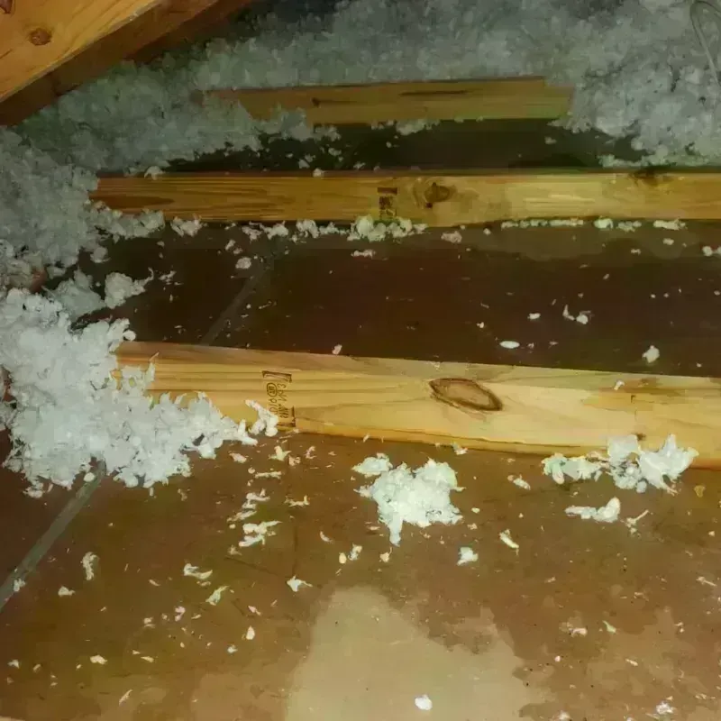 Attic Water Damage in Harrisonburg, LA