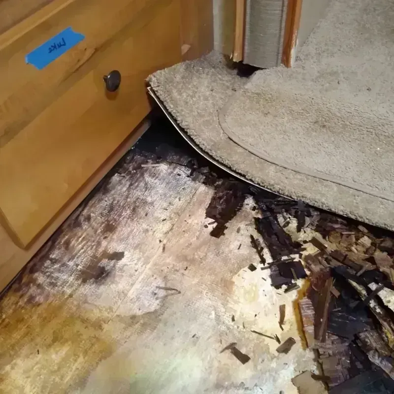 Wood Floor Water Damage in Harrisonburg, LA